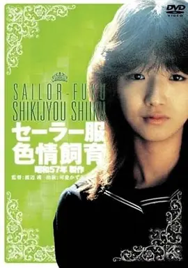 电影《我的名字叫可汗》海报